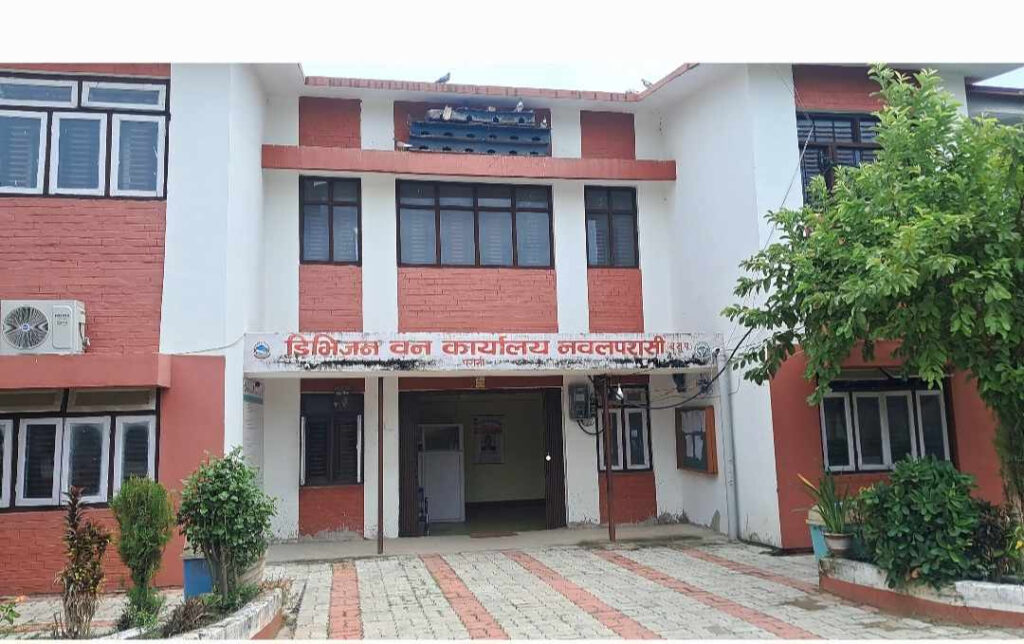 डिभिजन वन अधिकृतले काटे रुख कार्यालयमा बमण्डर