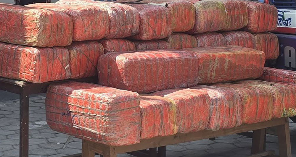 करिब ६७८ किलो गाँजासहित दुई जना पक्राउ